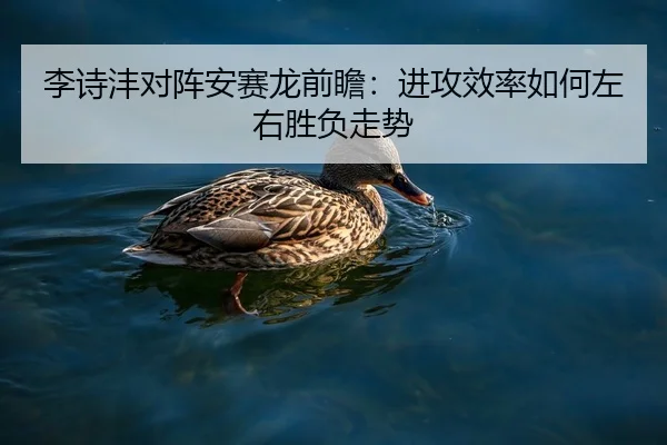 李诗沣对阵安赛龙前瞻：进攻效率如何左右胜负走势